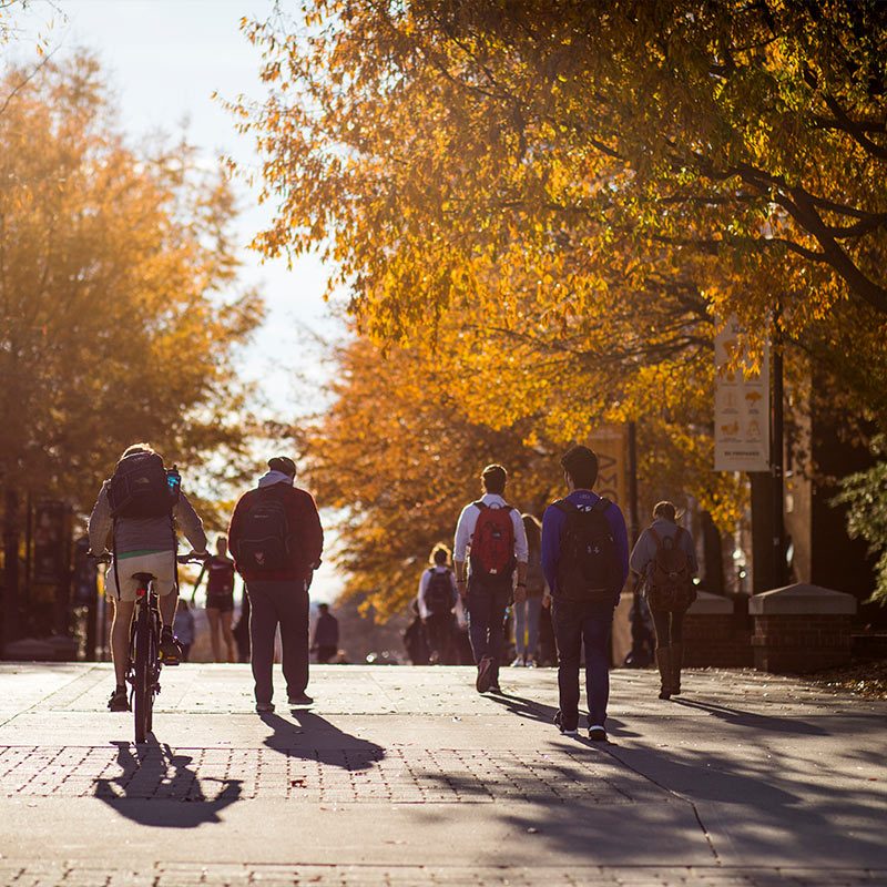 Students Walk Along Student Campus