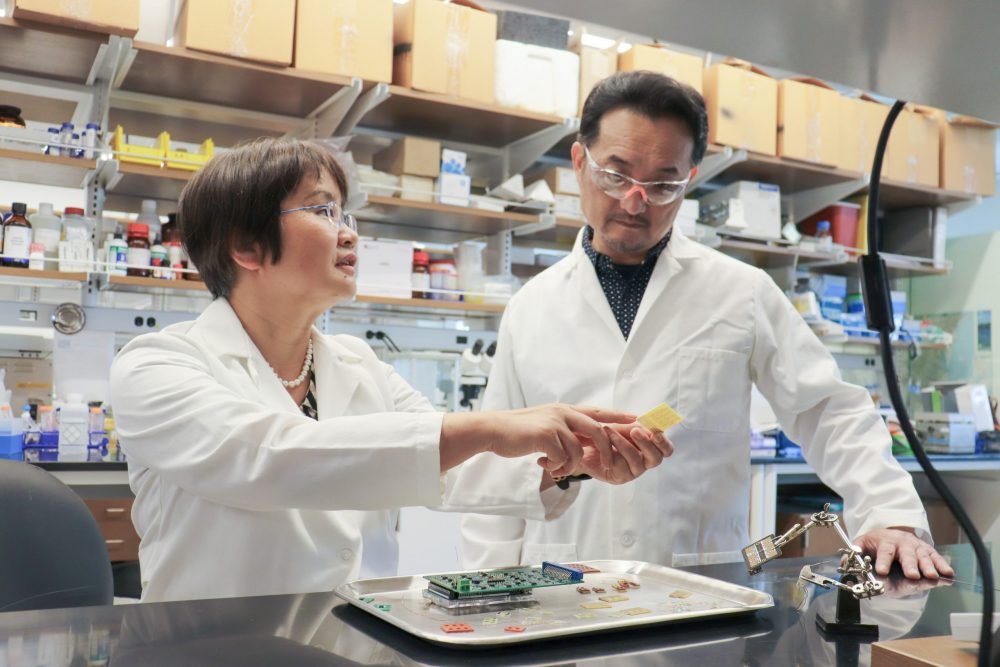 Jayne Wu and Shigetoshi Eda speaking to each other in the lab